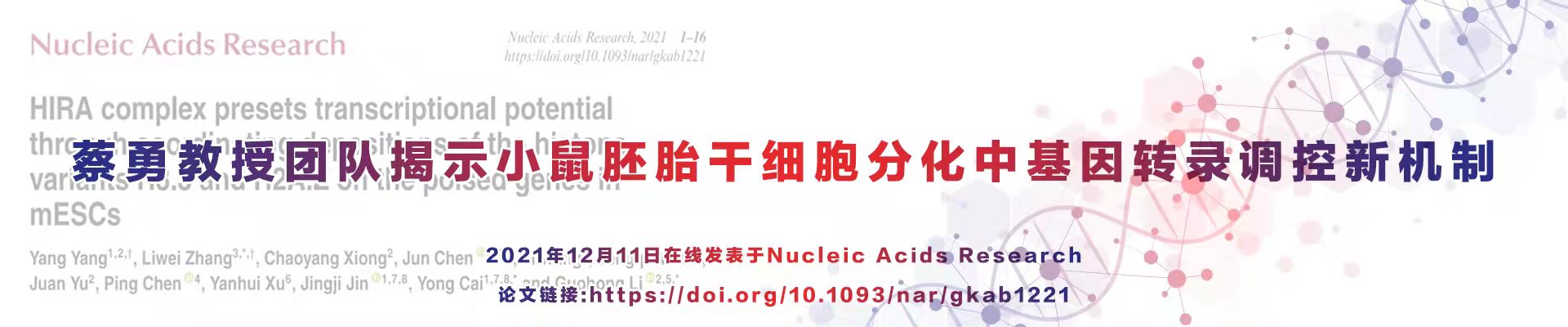 开云kaiyun网页版官网